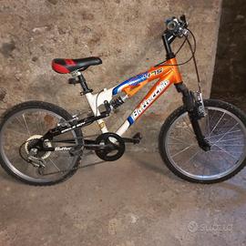 Bicicletta Bottecchia