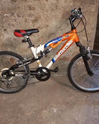 Bicicletta Bottecchia