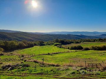 Proprietà Rustica in collina Cecina
