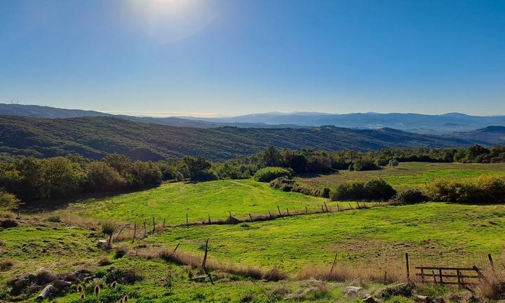 Proprietà Rustica in collina Cecina