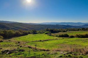 Proprietà Rustica in collina Cecina