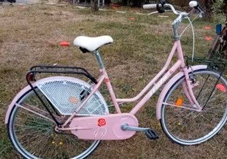 Bicicletta Atala da donna