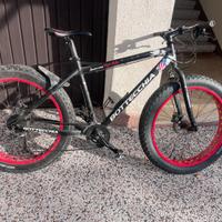 Bicicletta fat bike
