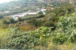 Pianura Via Angogna Rif.123T