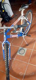 MOUNTAIN BIKE