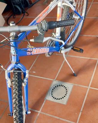 MOUNTAIN BIKE