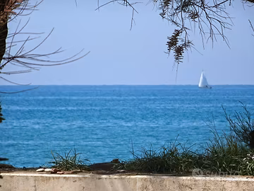 MARINA di CECINA, sul mare, LAST MINUTE