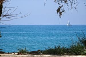 MARINA di CECINA, sul mare, LAST MINUTE