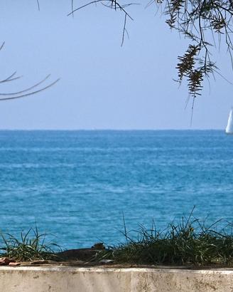 MARINA di CECINA, sul mare, LAST MINUTE