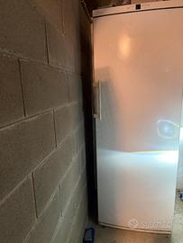 Congelatore verticale Liebherr