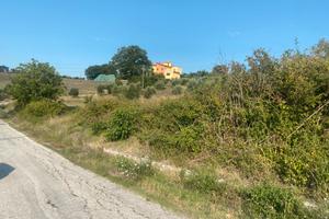 Terreno agricolo con possibilità di costruzione