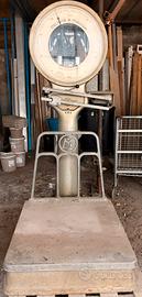 Bilancia bilico professionale 200kg