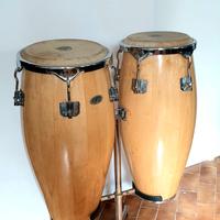 CONGAS LATIN PERCUSSION