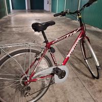 bicicletta city bike uomo