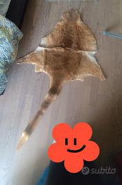 Tappeto pelle di canguro 