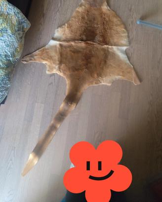 Tappeto pelle di canguro 