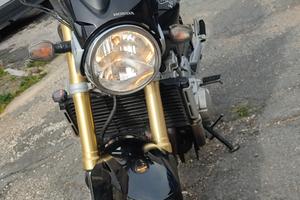 Honda hornet