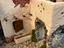 Immagine 4