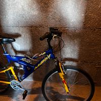 Mountain Bike MBM usata pochissimo 🚲