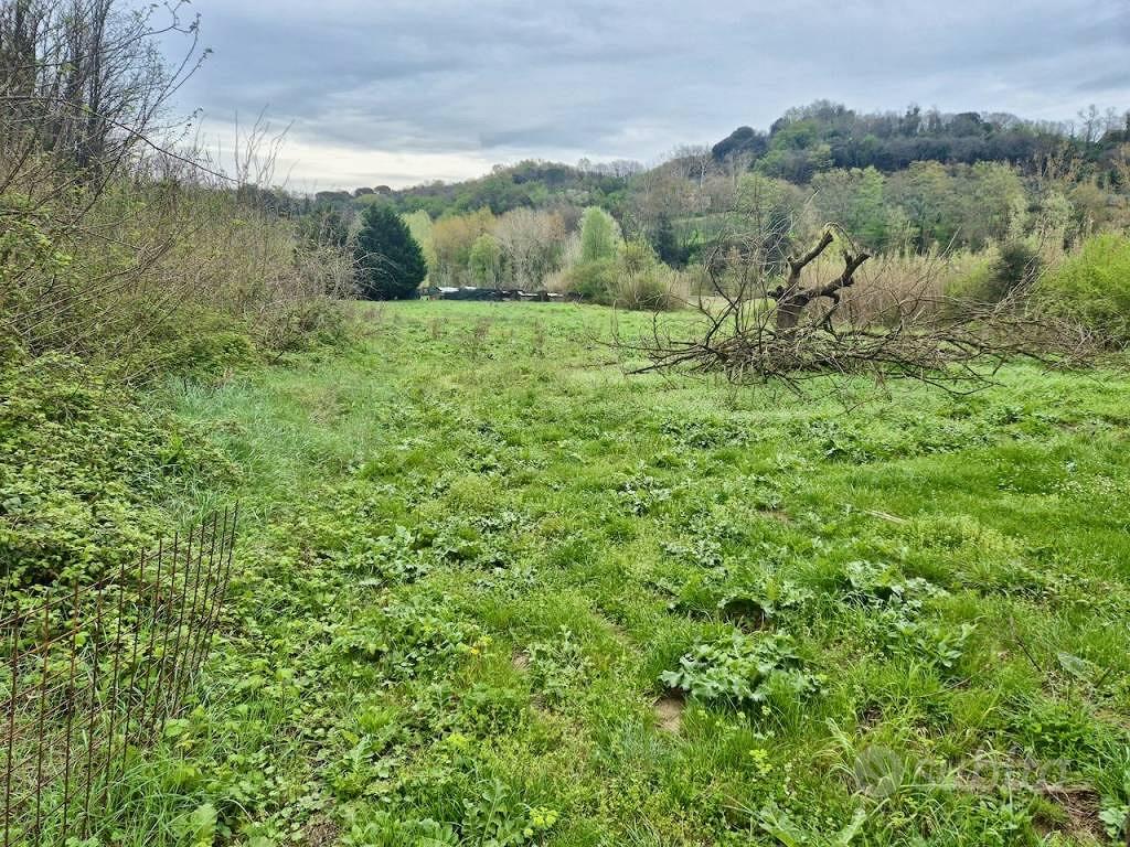 Terreno di 22000 m² a Casciana Terme Lari - Vista 3