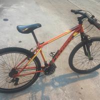 Bicicletta per Ragazzo