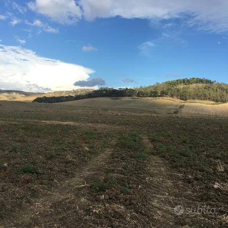 Terreno Agro di Butera contrada Ficuzza