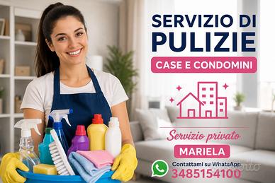Pulizie lavoro domestico