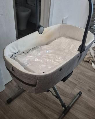 Culletta e ovetto Inglesina Aptica