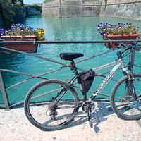 Bicicletta  MTB carraro