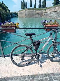 Bicicletta  MTB carraro