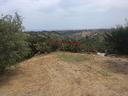 terreno-casteldaccia-