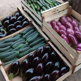 Terreno con attivita'