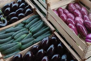 Terreno con attivita'