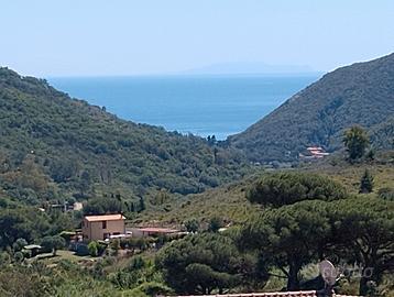 Isola d'elba vacanze