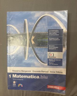 Libro matematica blu 1