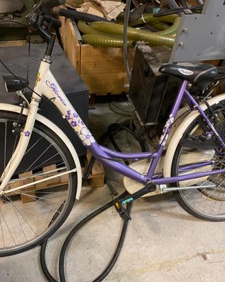 Holland bici