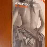 "Il danno" di Josephine Hart