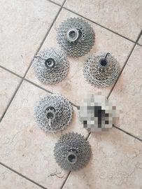 PACCHI PIGNONI per MTB