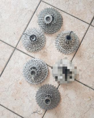PACCHI PIGNONI per MTB