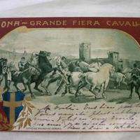 Antica cartolina Fiera Cavalli di Verona 1905