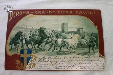 Antica cartolina Fiera Cavalli di Verona 1905