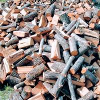 legna da ardere secca 