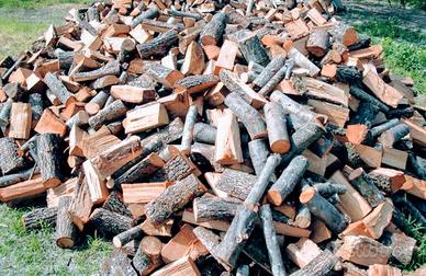 legna da ardere secca 