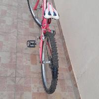 BICICLETTA DA RAGAZZA MISURA 24