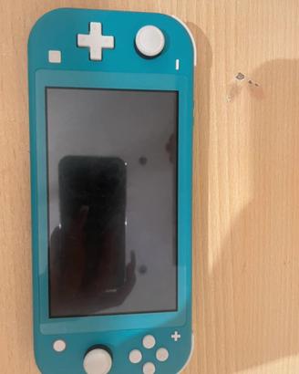 Nintendo switch Light