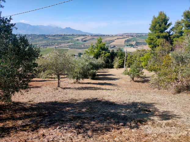 Terreno Agricolo Nocciano