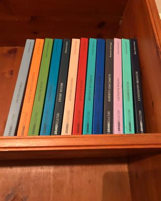 Collezione grandi scultori