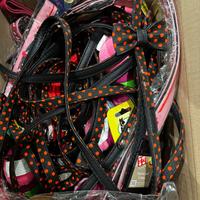 Guinzaglieria e giochi per cani e gatti