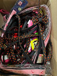 Guinzaglieria e giochi per cani e gatti