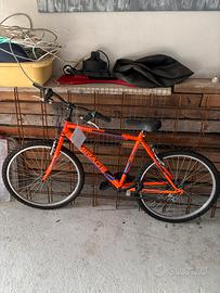 Bicilcetta